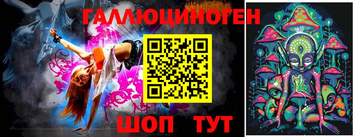 Псилоцибиновые грибы Psilocybe  Вход с VPN  Тамбов 