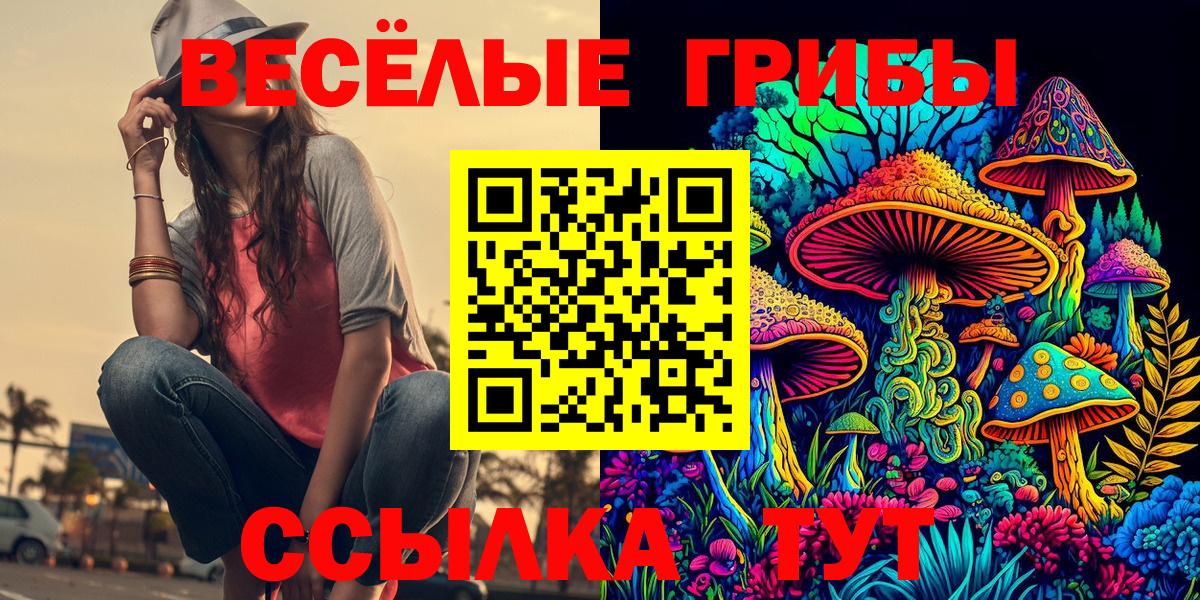 Псилоцибиновые грибы MAGIC MUSHROOMS Тамбов